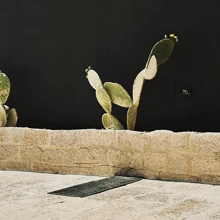 Bed & Breakfast Quomorari 4*