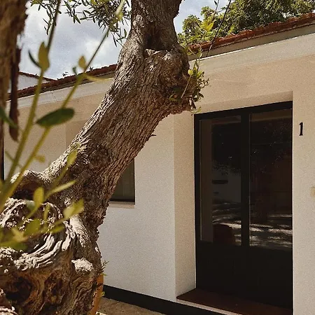 Quomorari Bed & Breakfast