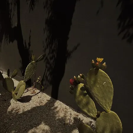 Quomorari Отель типа 