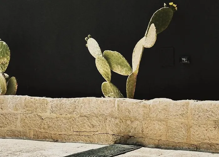 Bed & Breakfast Quomorari 4*